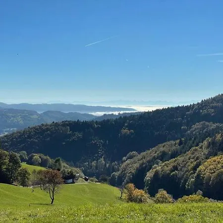 Lejlighed Nice In Kleines Wiesental