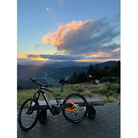 Nice In Lägenhet *