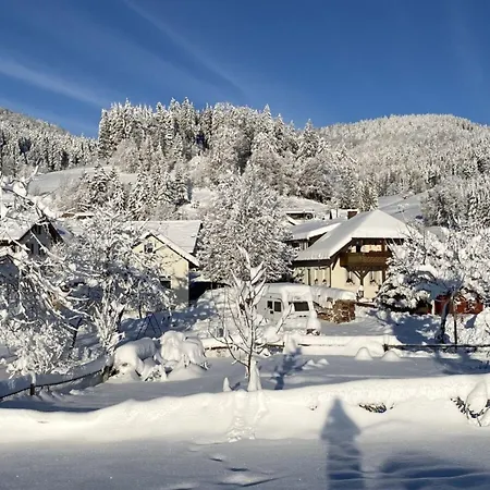 Nice In Lejlighed Kleines Wiesental