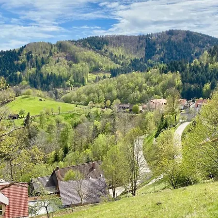 Lejlighed Nice In Kleines Wiesental
